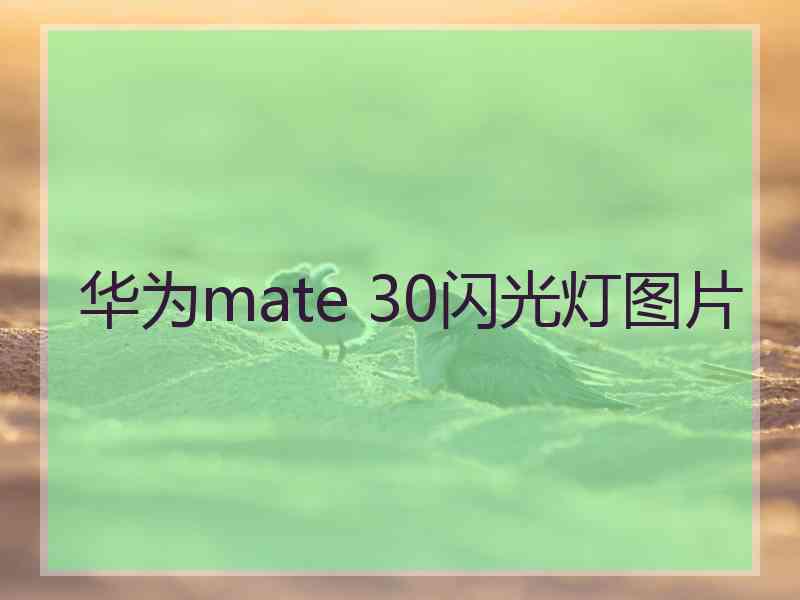 华为mate 30闪光灯图片