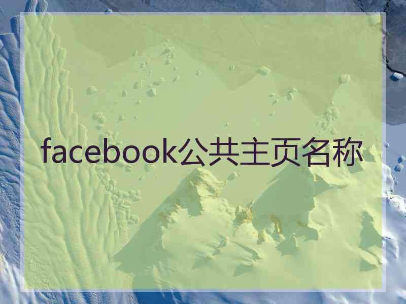 facebook公共主页名称