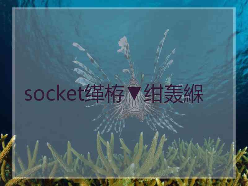 socket缂栫▼绀轰緥