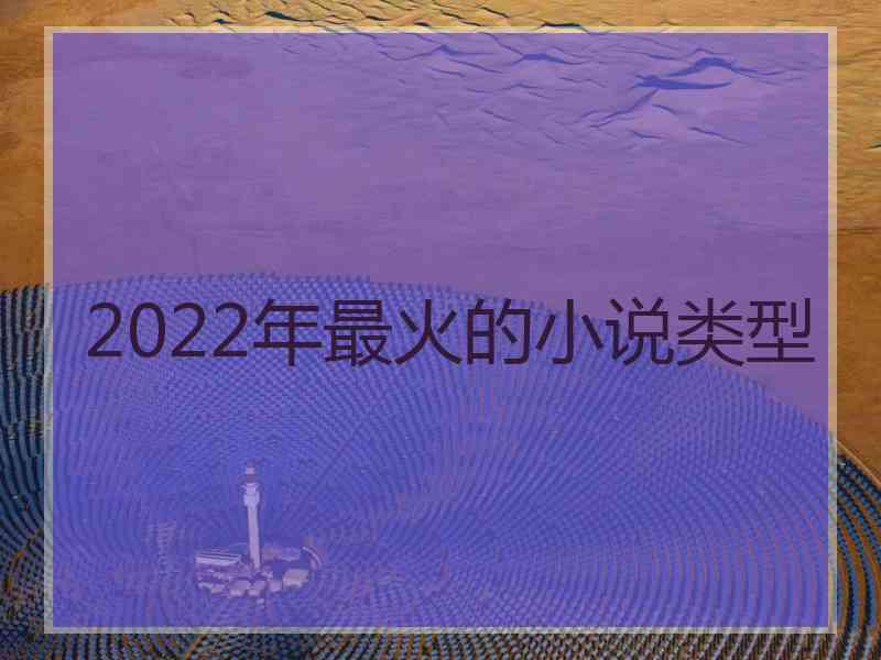 2022年最火的小说类型