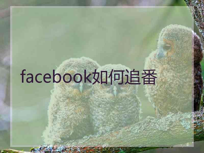 facebook如何追番