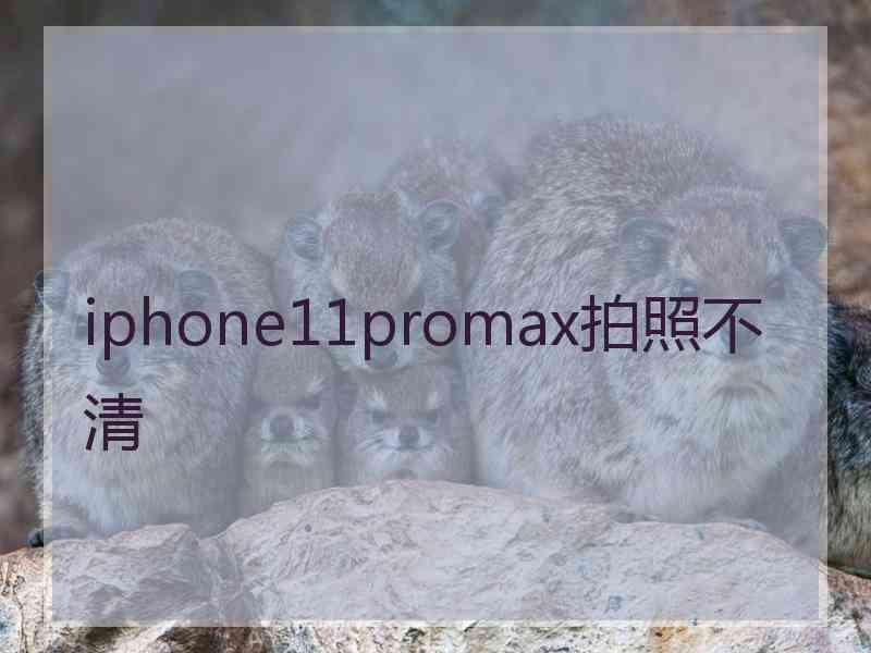 iphone11promax拍照不清