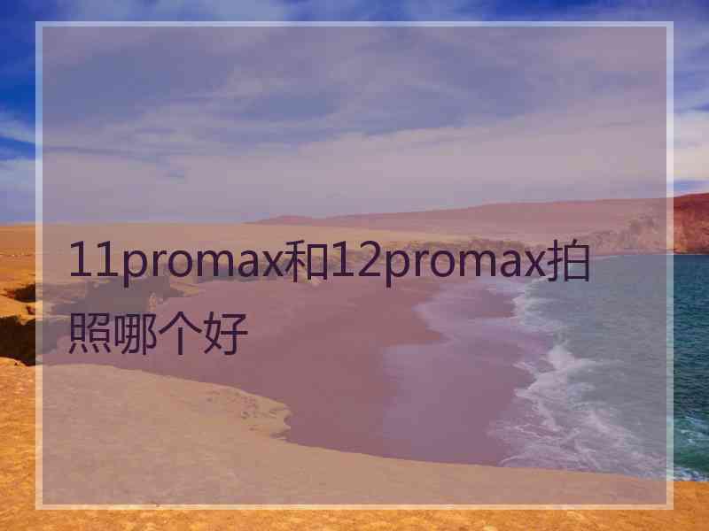 11promax和12promax拍照哪个好