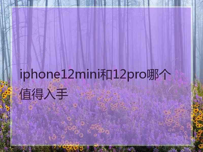 iphone12mini和12pro哪个值得入手