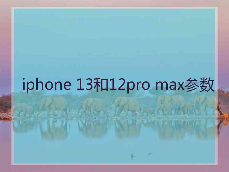 iphone 13和12pro max参数