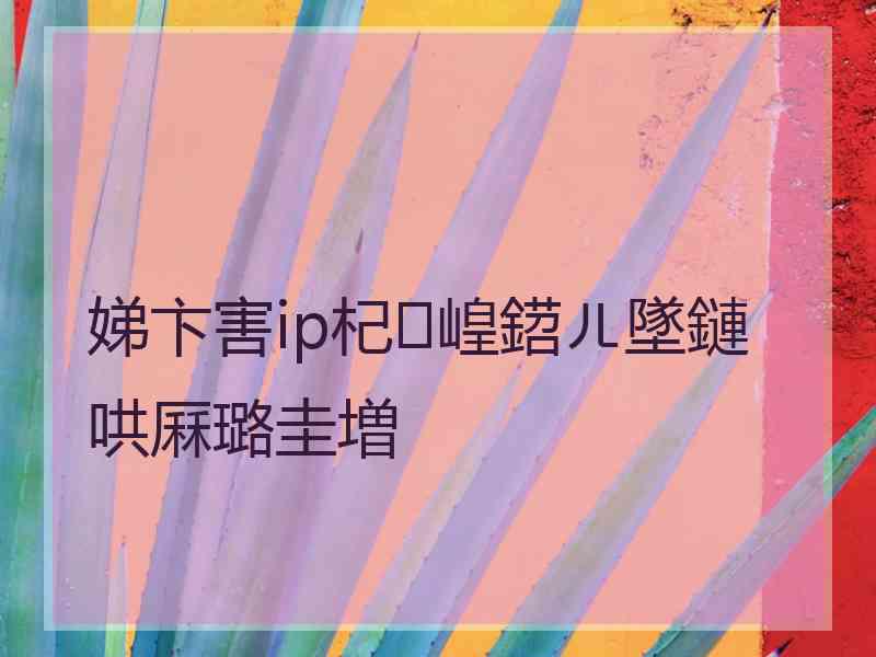 娣卞害ip杞崲鍣ㄦ墜鏈哄厤璐圭増