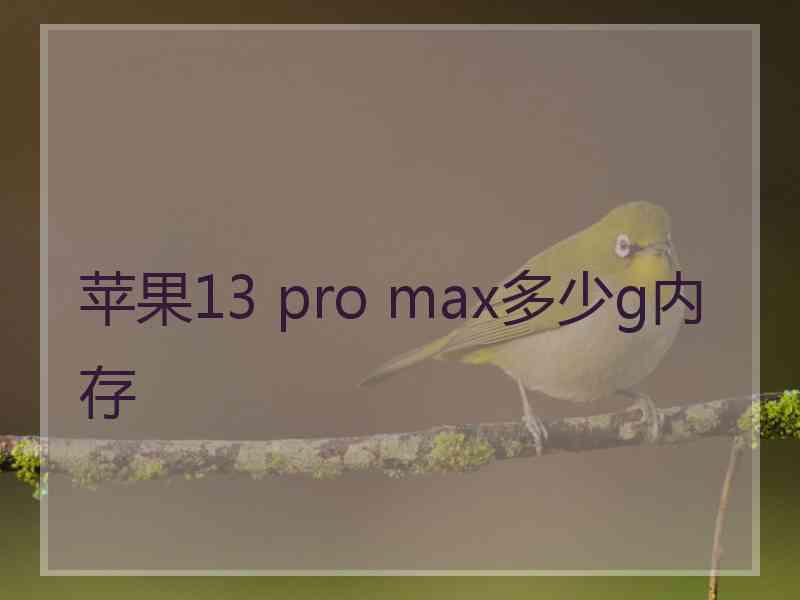 苹果13 pro max多少g内存