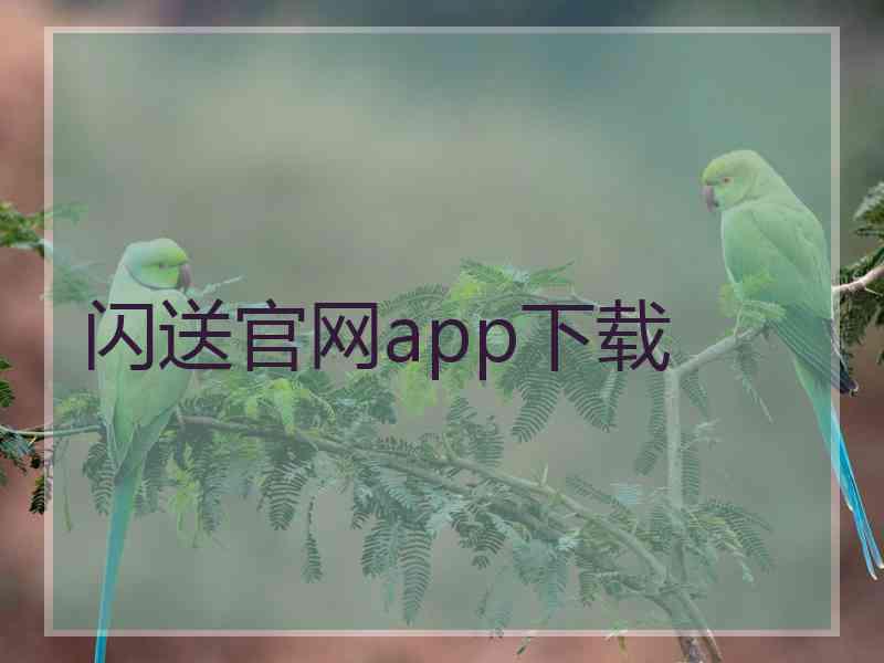 闪送官网app下载