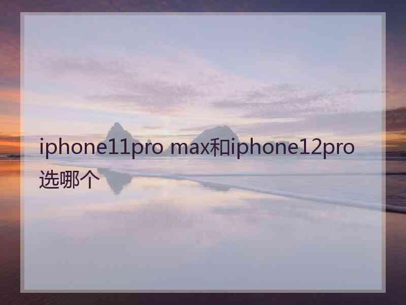 iphone11pro max和iphone12pro选哪个