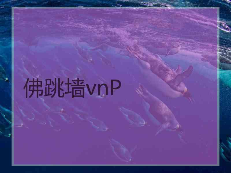 佛跳墙vnP