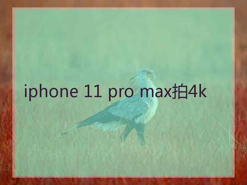 iphone 11 pro max拍4k