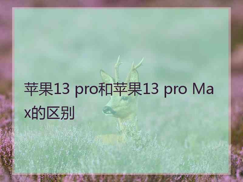 苹果13 pro和苹果13 pro Max的区别