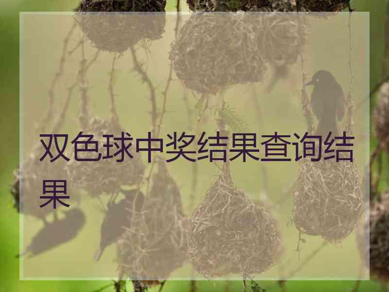 双色球中奖结果查询结果