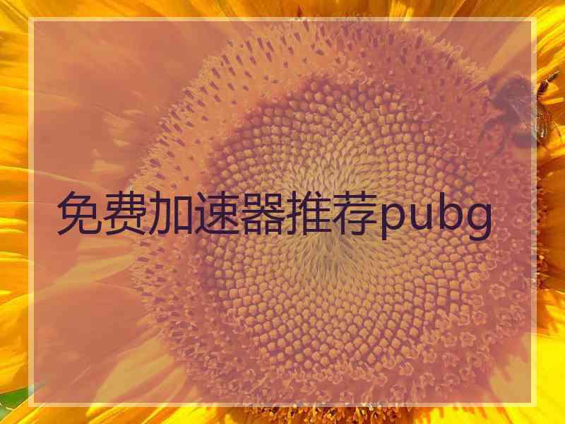 免费加速器推荐pubg