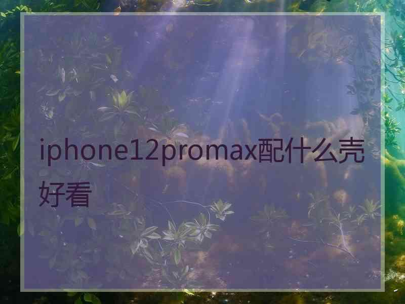 iphone12promax配什么壳好看