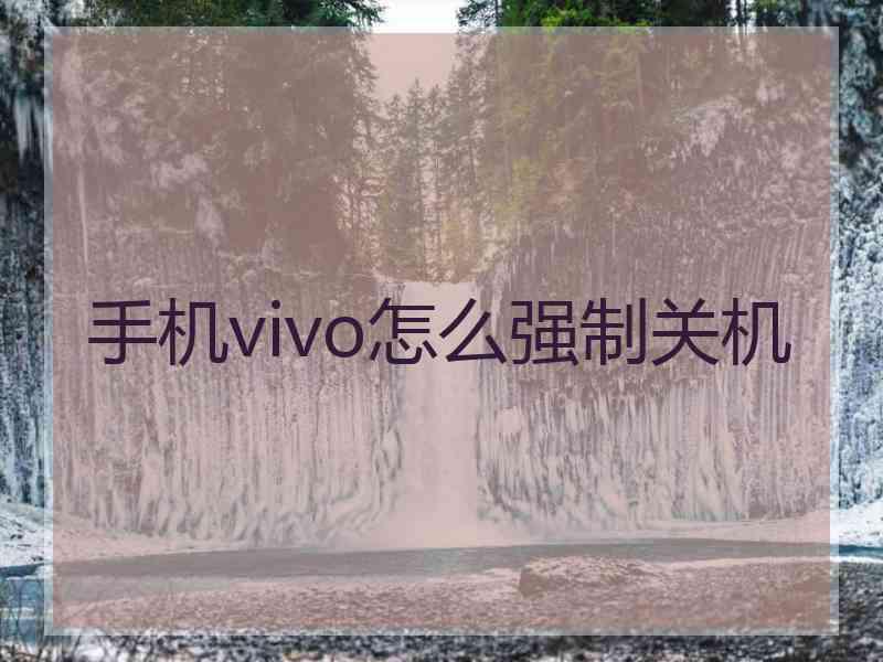 手机vivo怎么强制关机