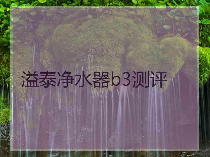 溢泰净水器b3测评