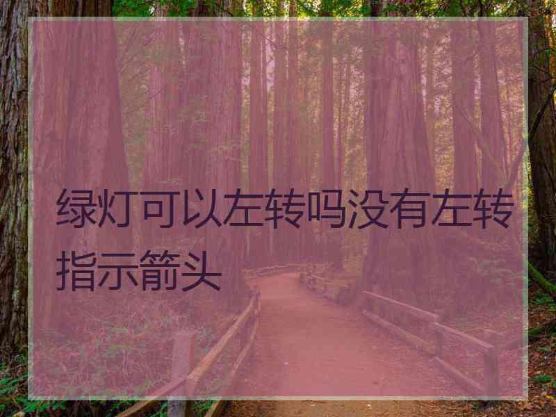 绿灯可以左转吗没有左转指示箭头