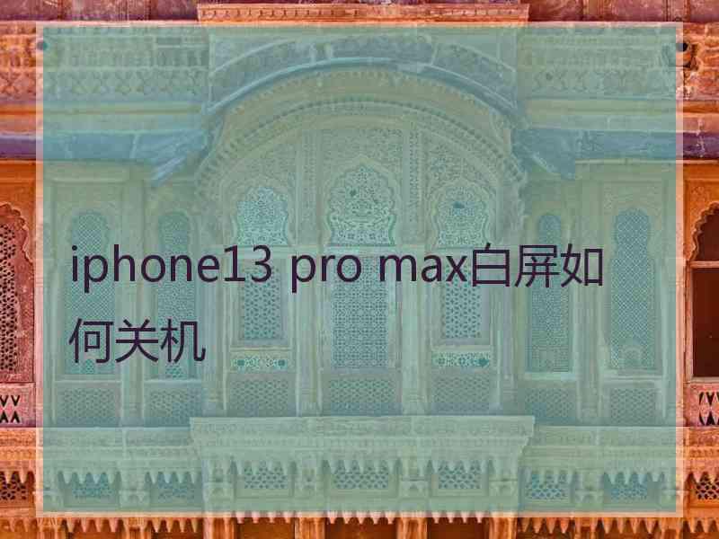 iphone13 pro max白屏如何关机