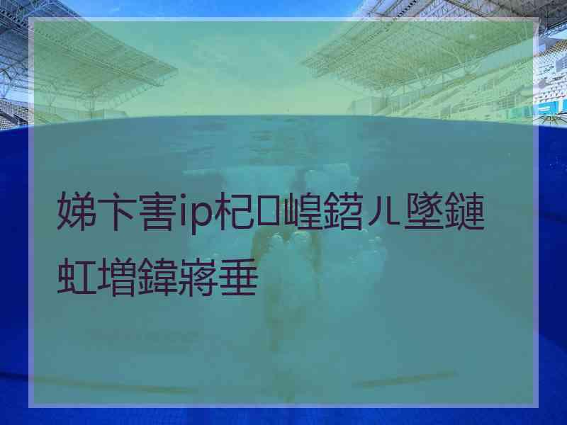 娣卞害ip杞崲鍣ㄦ墜鏈虹増鍏嶈垂