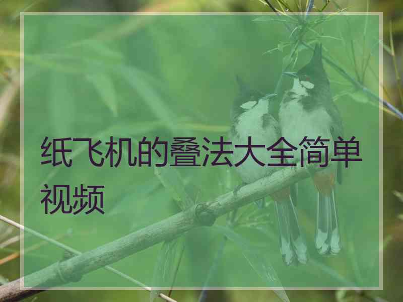 纸飞机的叠法大全简单视频