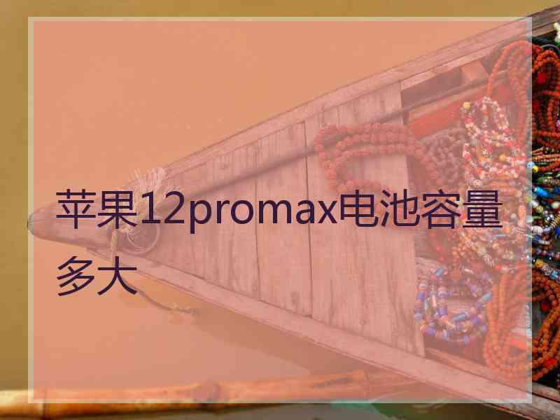 苹果12promax电池容量多大