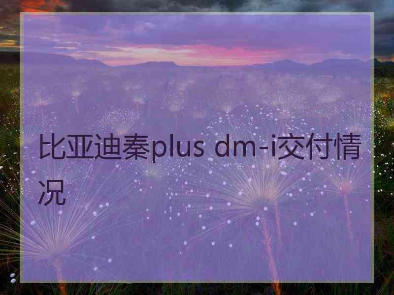 比亚迪秦plus dm-i交付情况