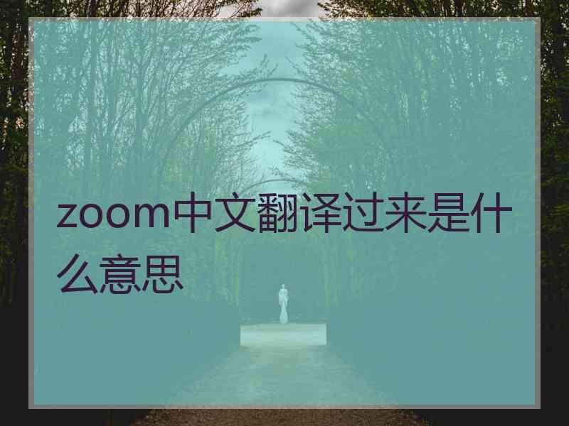 zoom中文翻译过来是什么意思