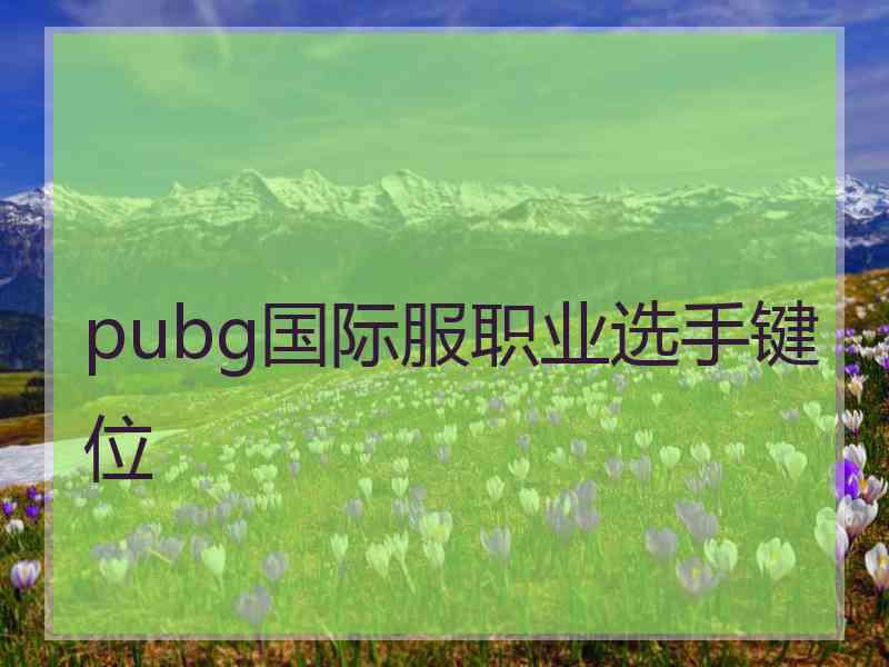 pubg国际服职业选手键位