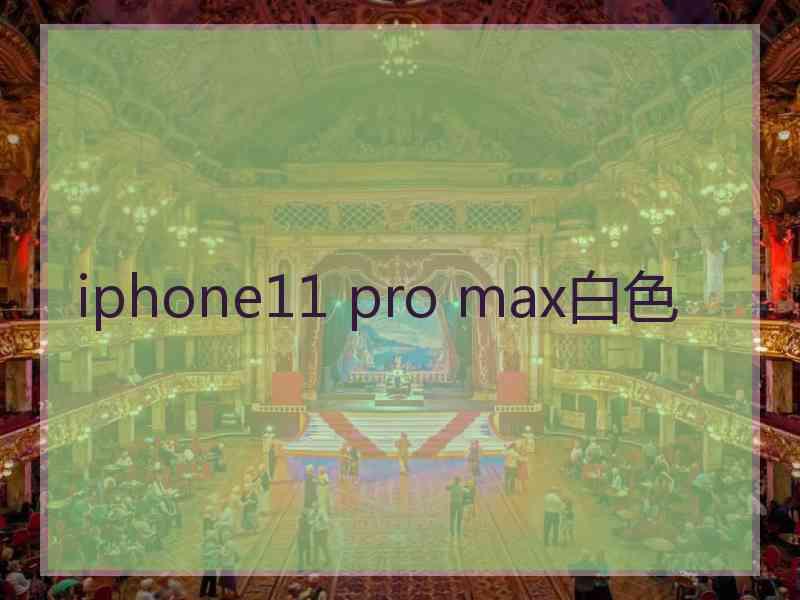 iphone11 pro max白色