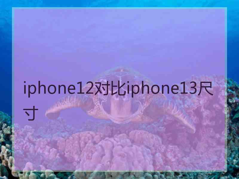 iphone12对比iphone13尺寸