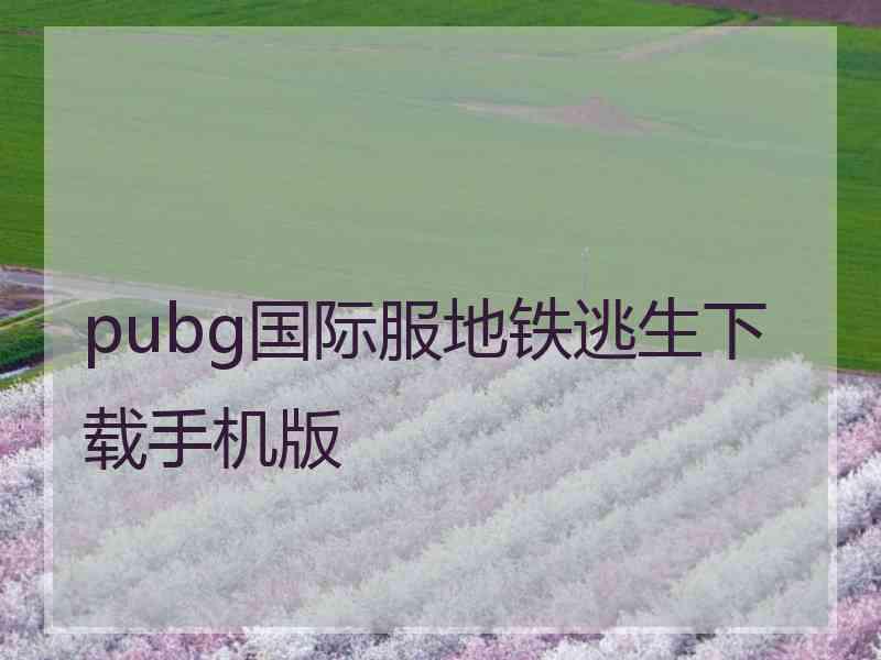 pubg国际服地铁逃生下载手机版