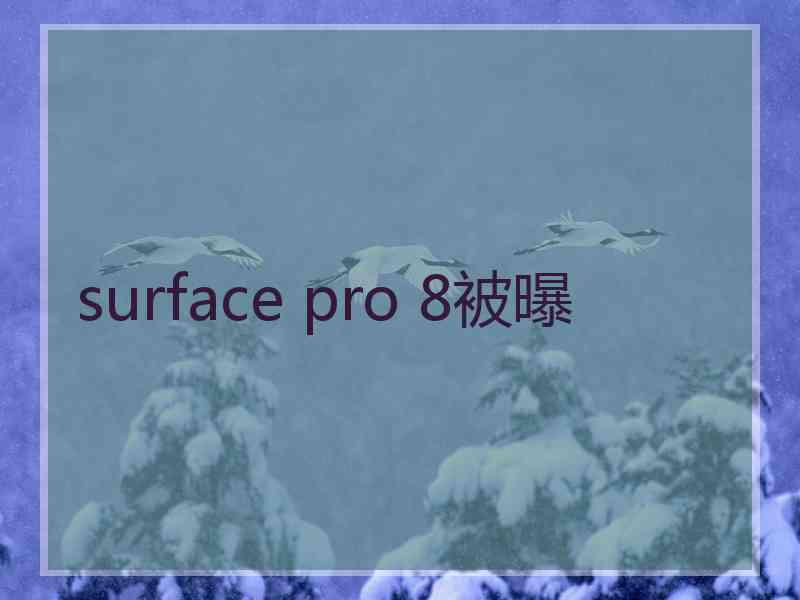 surface pro 8被曝