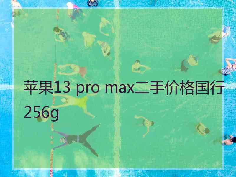 苹果13 pro max二手价格国行256g