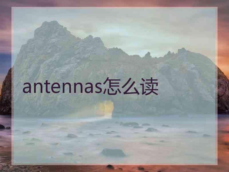 antennas怎么读