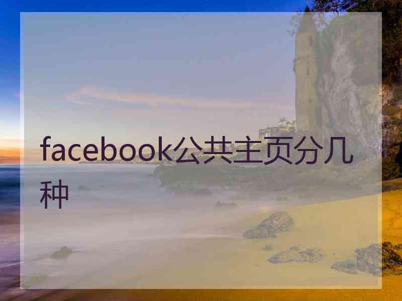 facebook公共主页分几种