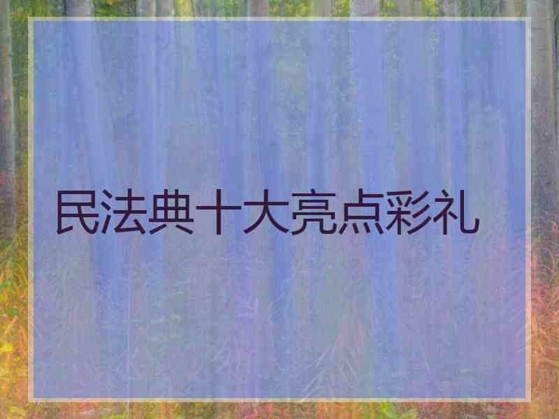 民法典十大亮点彩礼