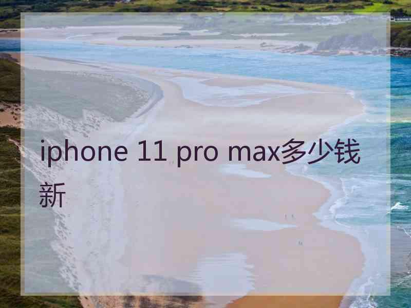 iphone 11 pro max多少钱新