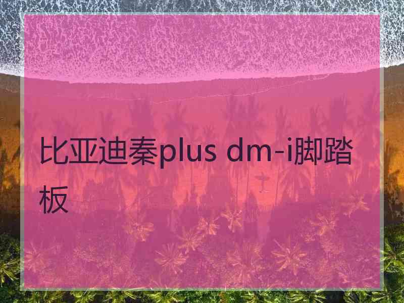 比亚迪秦plus dm-i脚踏板