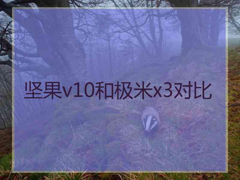 坚果v10和极米x3对比