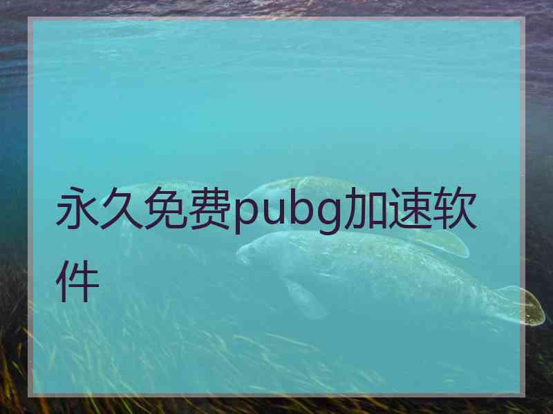 永久免费pubg加速软件