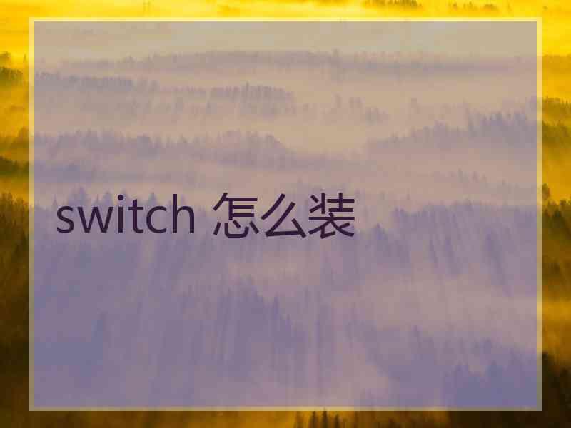 switch 怎么装