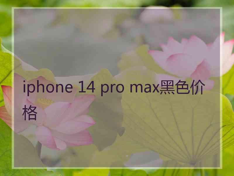 iphone 14 pro max黑色价格