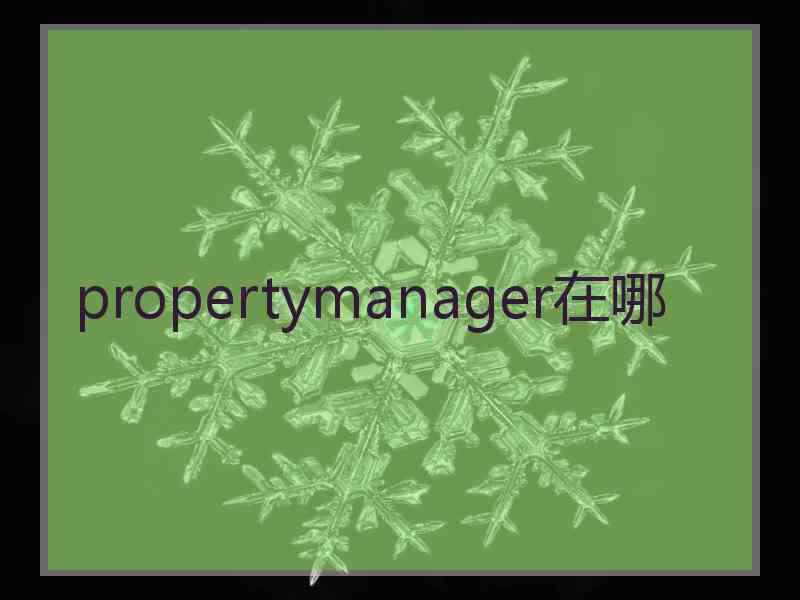 propertymanager在哪