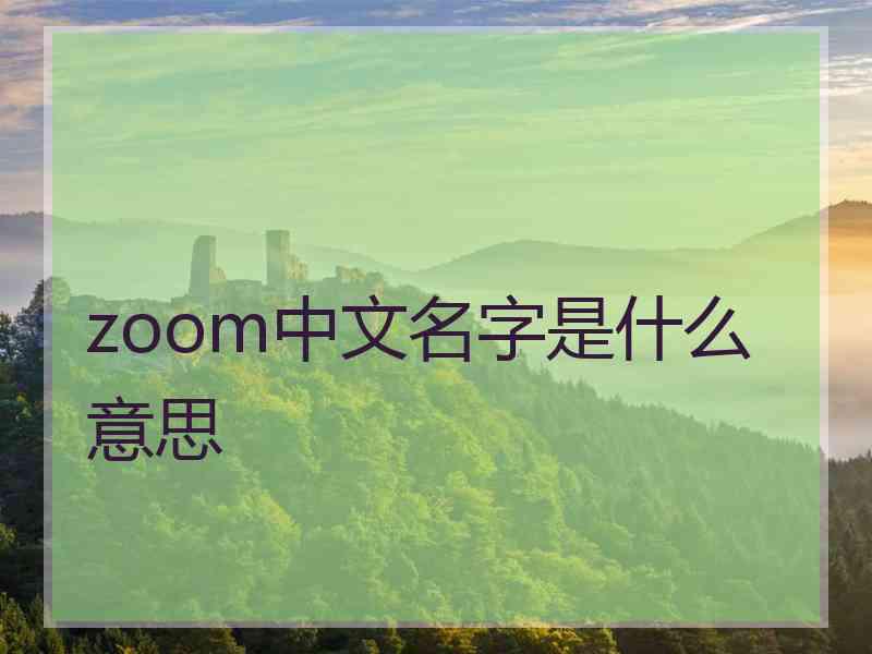 zoom中文名字是什么意思