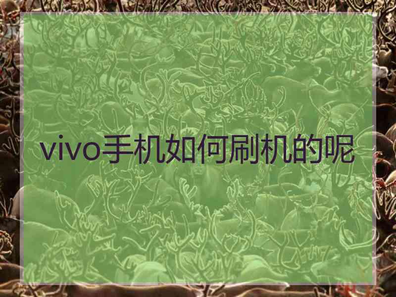 vivo手机如何刷机的呢