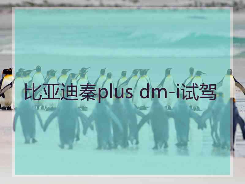 比亚迪秦plus dm-i试驾