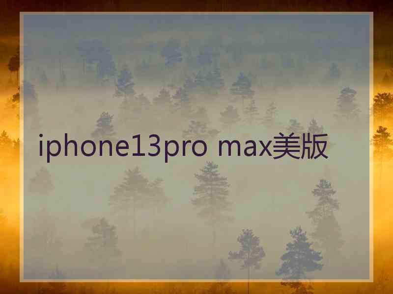 iphone13pro max美版