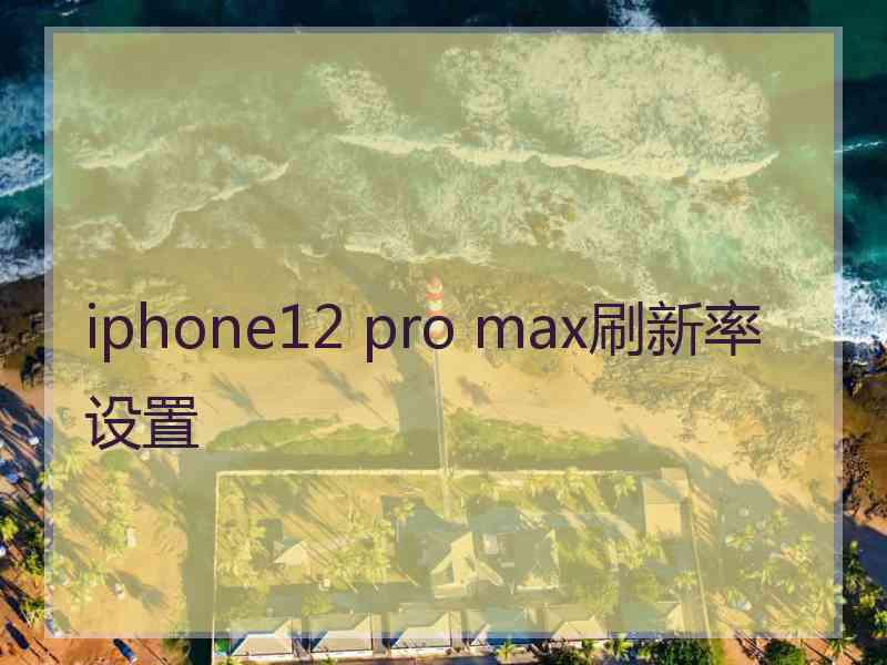 iphone12 pro max刷新率设置