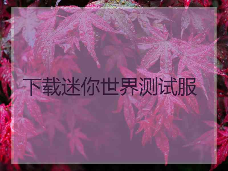 下载迷你世界测试服